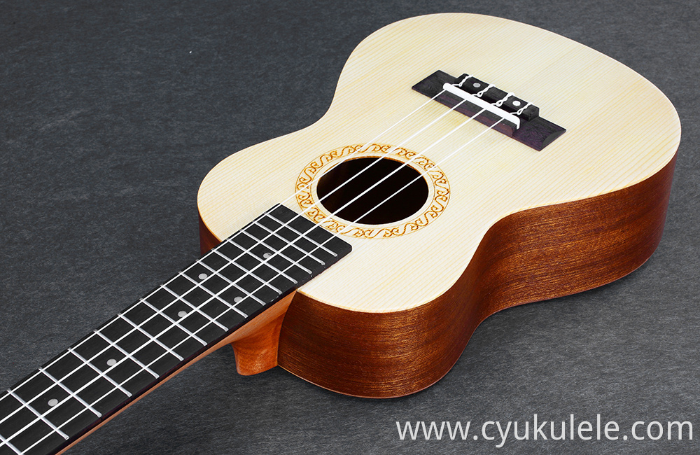 ukulele31 ukulele31